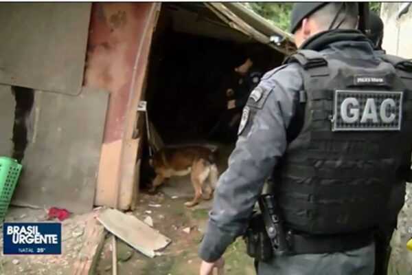 cao-farejador-da-gcm-de-embu-das-artes-localiza-‘casa-bomba’-do-trafico-e-drogas-sao-apreendidas